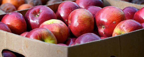 ვაშლი ყუთში - Sputnik საქართველო