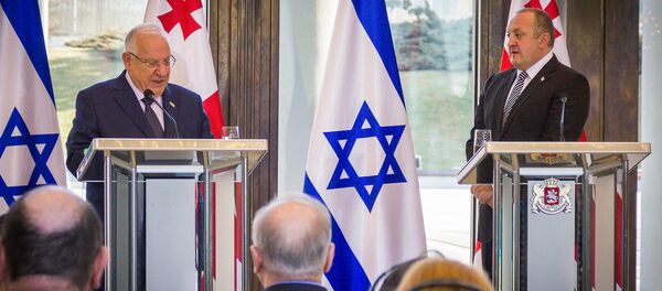 Президент Грузии Георгий Маргвелашвили на встрече с президентом Израиля Реувеном Ривлином - Sputnik Грузия