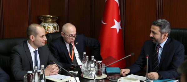 Михаил Джанелидзе и  Ахмед Айдын - Sputnik Грузия