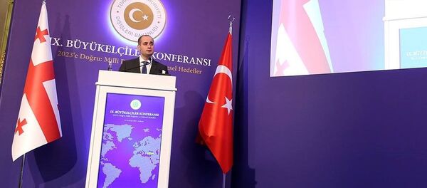 Министр иностранных дел Грузии на встрече турецких дипломатов в Анкаре - Sputnik Грузия