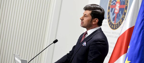 კახი კალაძე ბრიფინგზე - Sputnik საქართველო