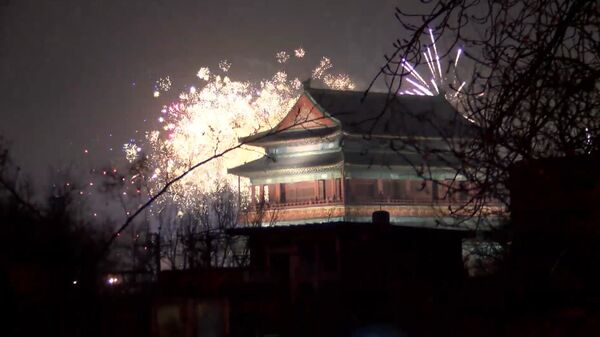 Год Петуха наступил: китайский Новый год в Пекине - Sputnik Грузия