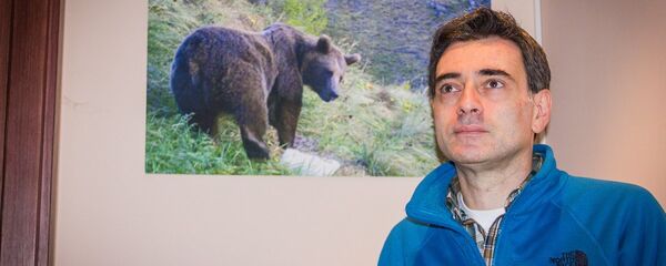 ირაკლი შავგულიძე ირაკლი შავგულიძე - Sputnik საქართველო