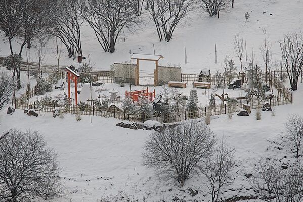 Занесенный снегом Японский сад на территории тбилисского Ботанического сада пустует - не каждый посетитель доберется до него по многочисленным скользким при такой погоде дорожкам Занесенный снегом Японский сад на территории тбилисского Ботанического сада пустует - не каждый посетитель доберется до него по многочисленным скользким при такой погоде дорожкам - Sputnik Грузия