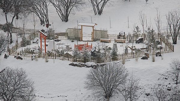 თბილისის ბოტანიკური ბაღი თბილისის ბოტანიკური ბაღი - Sputnik საქართველო