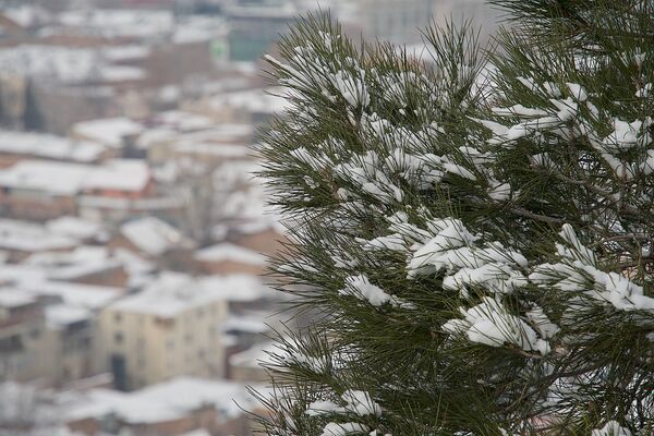 Пусть и недолго, но хотя бы на несколько дней снег дает ощущение настоящей зимы в столице Грузии - Sputnik Грузия