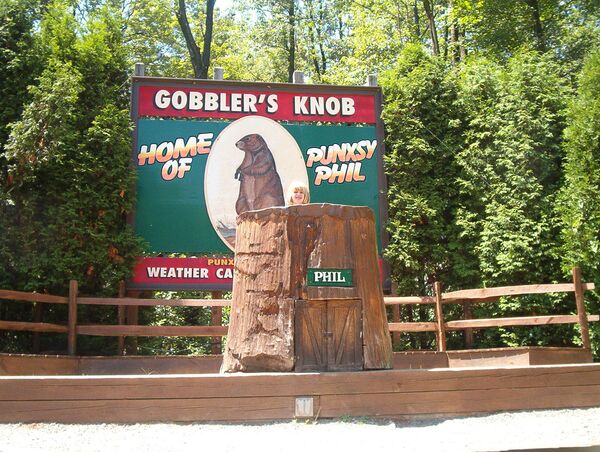 Домик сурка Фила - Sputnik Грузия