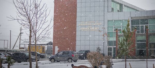 შსს–ს სერვის–ცენტრი შსს–ს სერვის–ცენტრი - Sputnik საქართველო