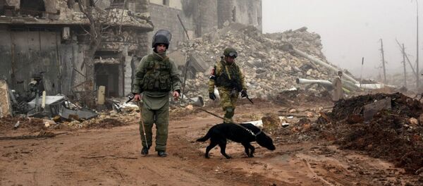 Разминирование российскими инженерами исторической Цитадели древней крепости Алеппо - Sputnik Грузия