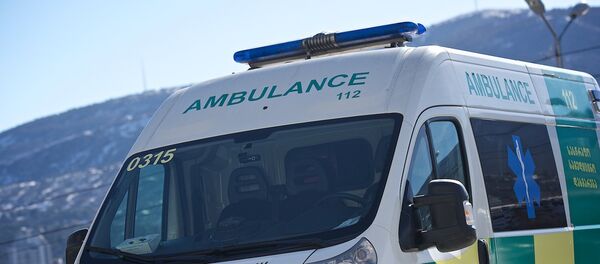 Бригада Скорой медицинской помощи на выезде по вызову - Sputnik Грузия