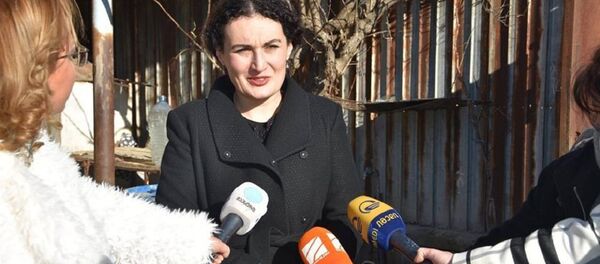 Госминистр по примирению и гражданскому равноправию Кетеван Цихелашвили Госминистр по примирению и гражданскому равноправию Кетеван Цихелашвили - Sputnik Грузия