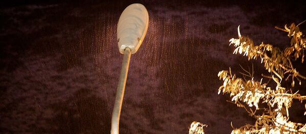 ქარბუქი ღამით - Sputnik საქართველო