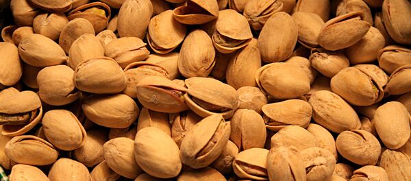 ფისტა ფისტა - Sputnik საქართველო