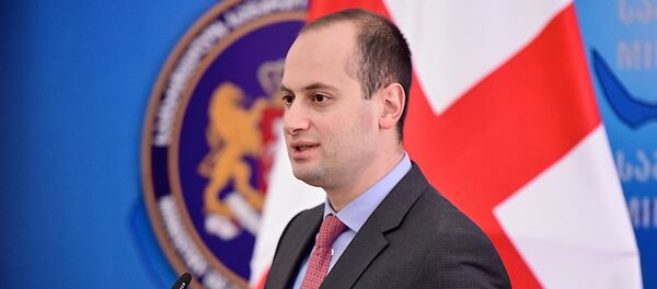 Глава МИД Грузии Михаил Джанелидзе - Sputnik Грузия