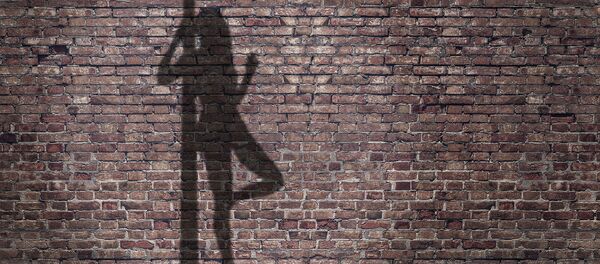 Силуэт проститутки на стене - Sputnik Грузия