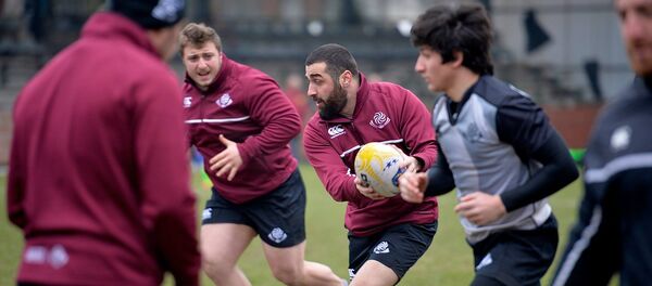 ქართველი ბორჯღალოსნები - Sputnik საქართველო