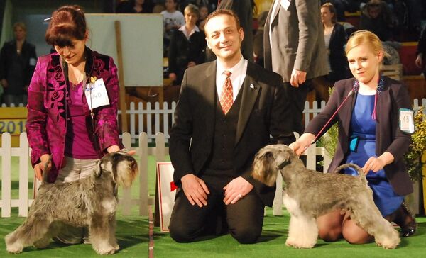 იუზა ბერაძე - Sputnik Грузия