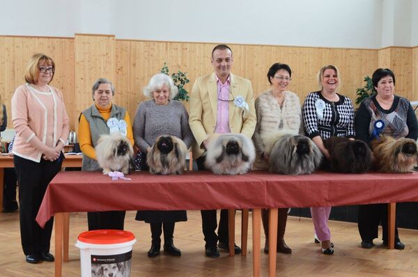 იუზა ბერაძე - Sputnik Грузия