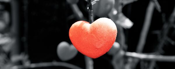 გული, სიყვარულის ნიშანი გული, სიყვარულის ნიშანი - Sputnik საქართველო