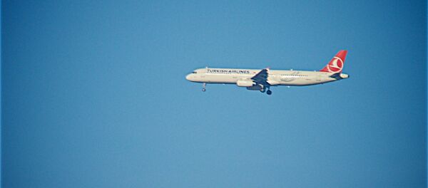 Самолет турецких авиалиний заходит на посадку в тбилисском аэропорту - Sputnik Грузия