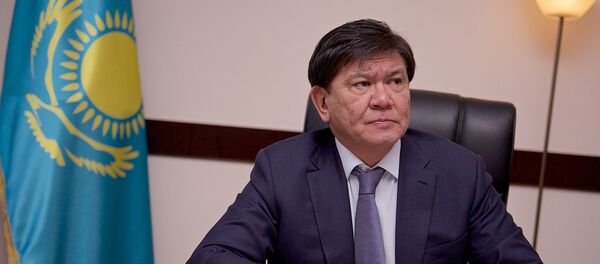 ყაზახეთის ელჩი: ჩემი ქვეყნიდან საქართველოში ტურისტების რაოდენობა მატულობს - Sputnik საქართველო