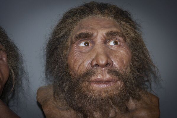На Кавказе 1,77 миллиона лет до н.э. появился дманисийский гоминид, так называемый Homo georgicus. Кости Homo georgicus были найдены в 1991 году в Дманиси - Sputnik Грузия