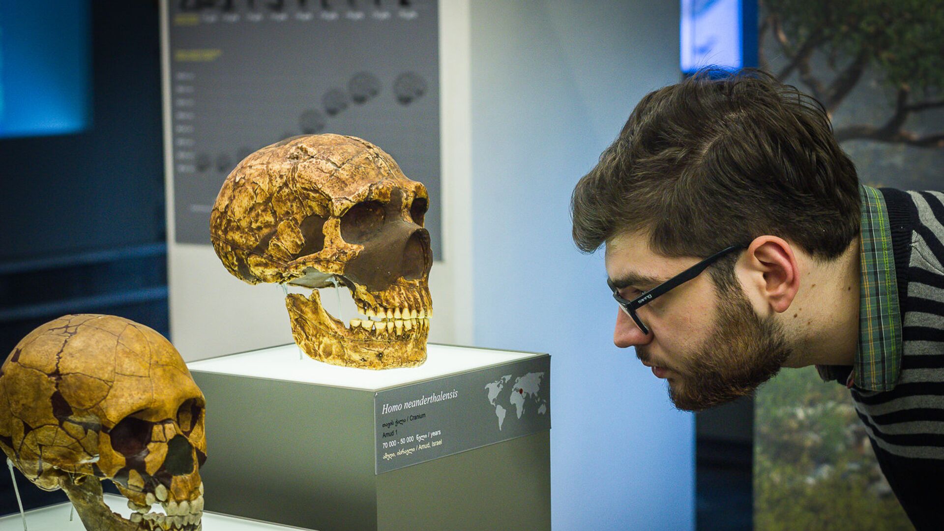 Мужчина рассматривает человеческий череп в музее - Sputnik Грузия, 1920, 18.05.2022