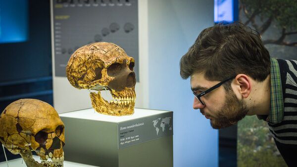 Мужчина рассматривает человеческий череп в музее - Sputnik Грузия