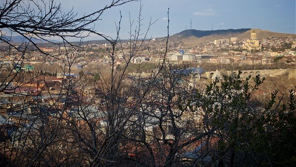Вид на город Тбилиси в феврале - Sputnik Грузия