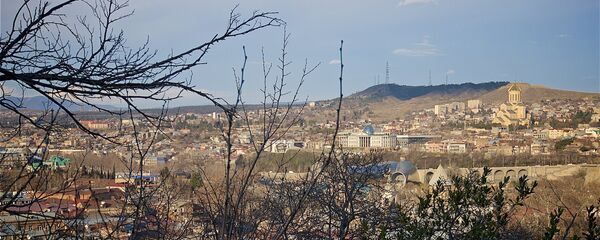 Вид на город Тбилиси в феврале - Sputnik Грузия