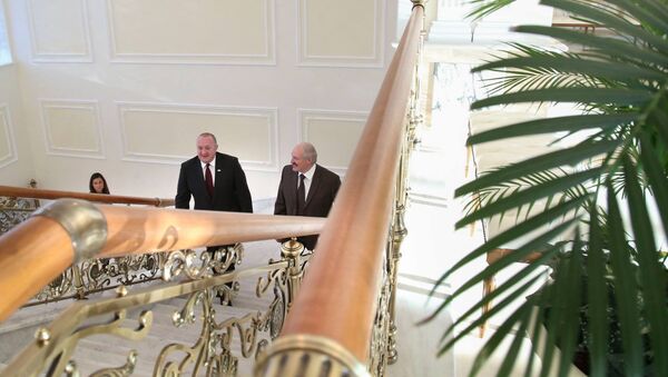 Президенты Грузии и Беларуси Георгий Маргвелашвили и Александр Лукашенко проводят встречи второй день подряд - Sputnik Грузия
