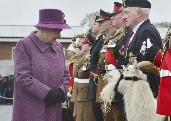 Королева Великобритании Елизавета II рассматривает одну из двух полковых коз во время посещения 2-го батальона Королевского полка Уэльса в Тидуорте - Sputnik Грузия