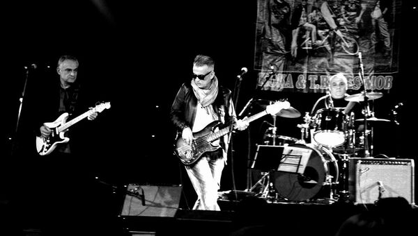 კოკა ცქიტიშვილი კოკა ცქიტიშვილი - Sputnik საქართველო