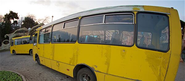 Пассажирские автобусы на стоянке - Sputnik Грузия