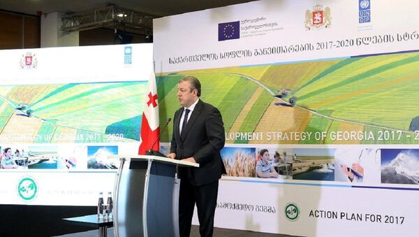 Георгий Квирикашвили на презентации стратегии развития сельского хозяйства Грузии - Sputnik Грузия
