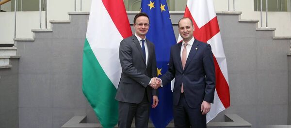 Петер Сийярто и Михаил Джанелидзе - Sputnik Грузия