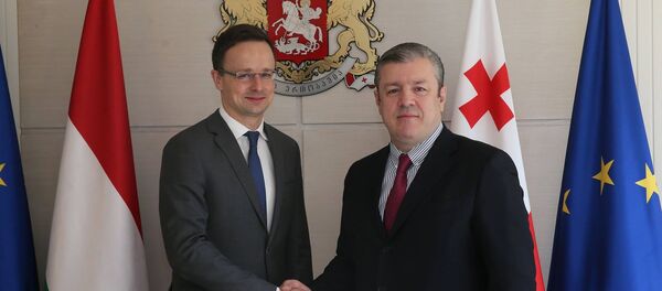 Петер Сийярто и Георгий Квирикашвили - Sputnik Грузия