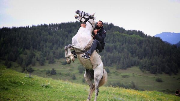 Мужчина на коне в горах в Алгетском национальном парке - Sputnik Грузия