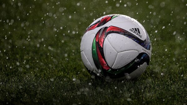 Футбольный мяч на игровом поле под дождем - Sputnik Грузия
