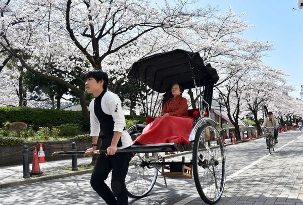 В Японии, Китае и Индии помимо автомобилей-такси существует такой вид передвижения, как рикша - когда в коляску впряжен человек-водитель. На фото - туристка передвигается с помощью рикши во время праздника цветения сакуры в Токио - Sputnik Грузия