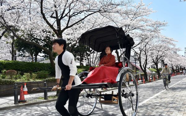 В Японии, Китае и Индии помимо автомобилей-такси существует такой вид передвижения, как «рикша», которая представляет собой впряженного в коляску человека-водителя. На фото - туристка на рикше во время праздника цветения сакуры в Токио - Sputnik Грузия