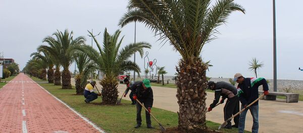 ბათუმის ბულვარი ბათუმის ბულვარი - Sputnik საქართველო