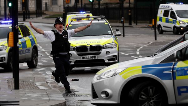Офицер полиции у здания Парламента в Лондоне после инцидента со стрельбой - Sputnik Грузия