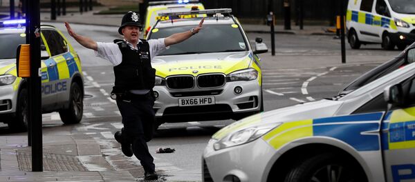 Офицер полиции у здания Парламента в Лондоне после инцидента со стрельбой - Sputnik Грузия