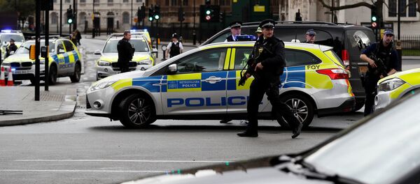 ლონდონის პოლიცია უესტმინსტერის ხიდთან ლონდონის პოლიცია უესტმინსტერის ხიდთან - Sputnik საქართველო