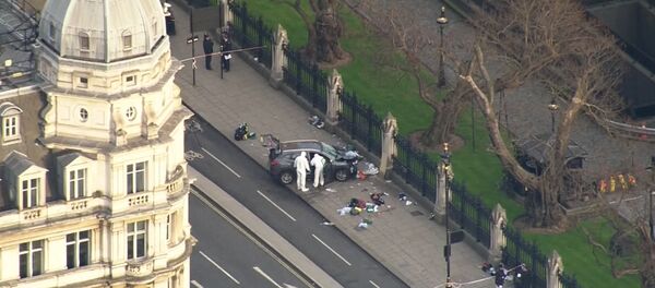 ტერაქტი ლონდონში: დანაშაულის ადგილის შესწავლისა და ხალხის ევაკუაციის კადრები ტერაქტი ლონდონში: დანაშაულის ადგილის შესწავლისა და ხალხის ევაკუაციის კადრები - Sputnik საქართველო