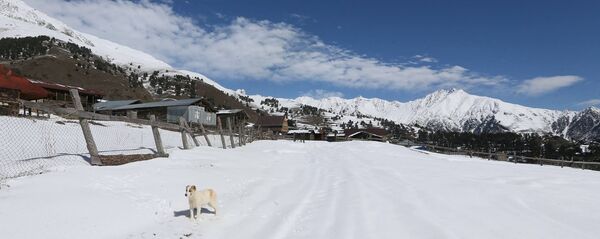 ომალო ომალო - Sputnik საქართველო