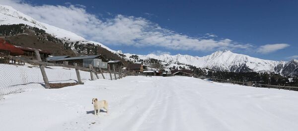 Омало Омало - Sputnik Грузия