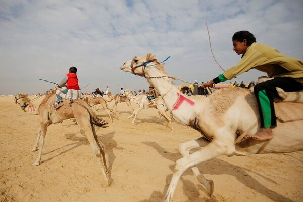 Жокеи, большинство из которых дети, соревнуются в верховой езде во время открытия Международного фестиваля верблюдов в пустыне Сарабий в Исмаилии, Египет - Sputnik Грузия