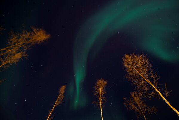 ჩრდილოეთის ნატება ალტას ღამის ცას ანათებს, ჩრდილოეთ ნორვეგია - Sputnik საქართველო